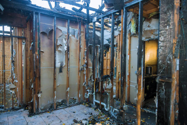 Professional Fire Damage Removal technician working in Yucaipa, CA